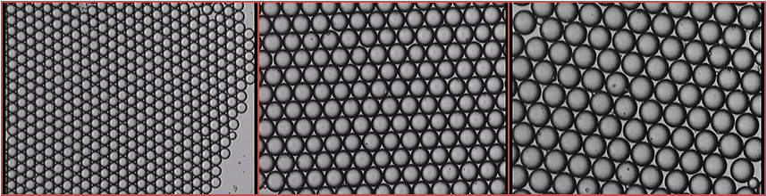 A range of droplets from a microfluidic chip